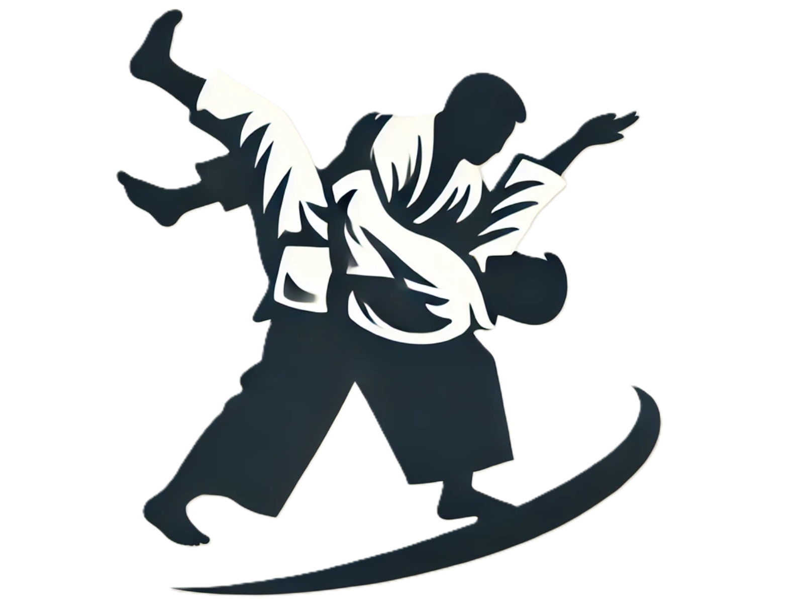Welcome, American Aikido Academy